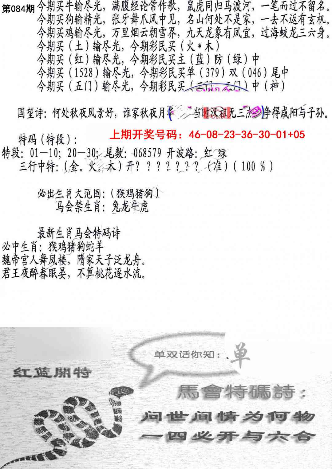 084期蛇报B[图]